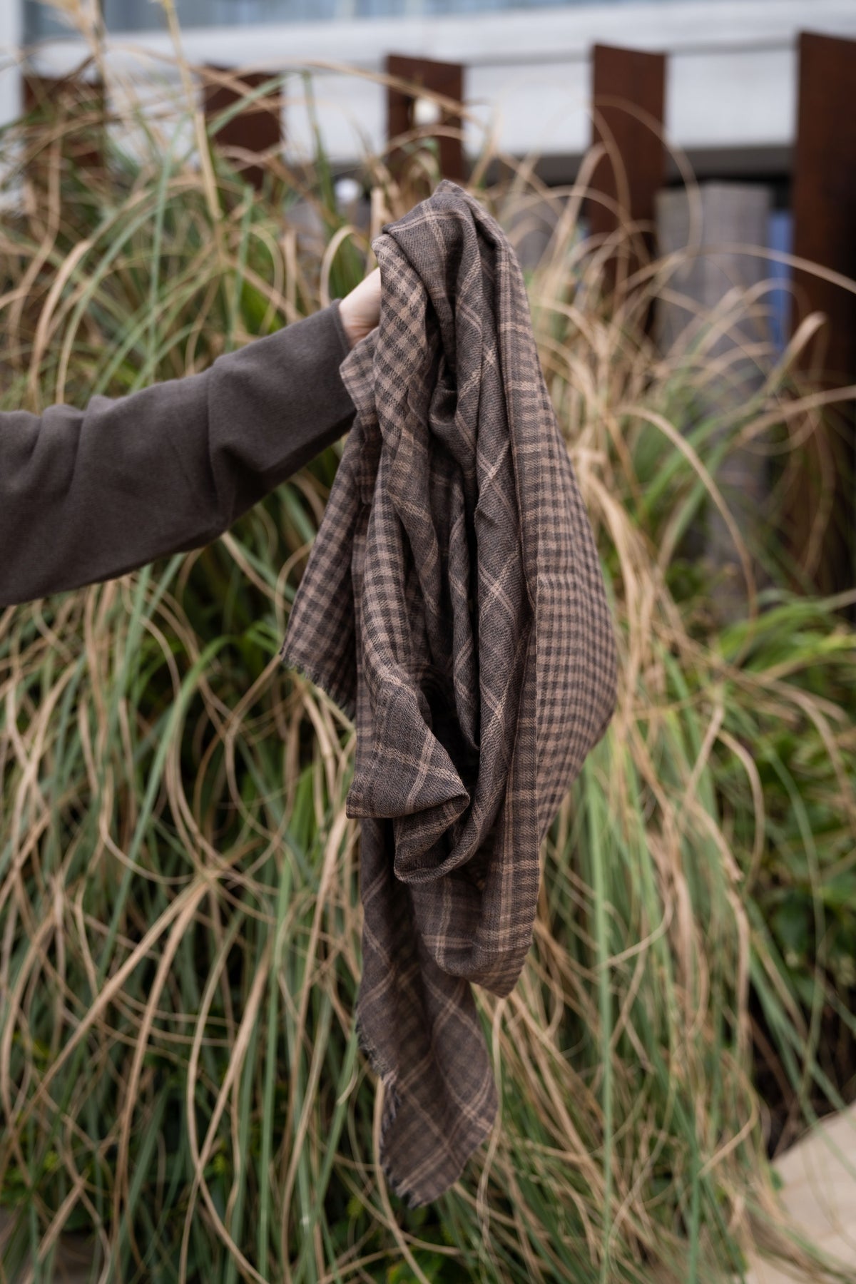 Chartouche Check Scarf
